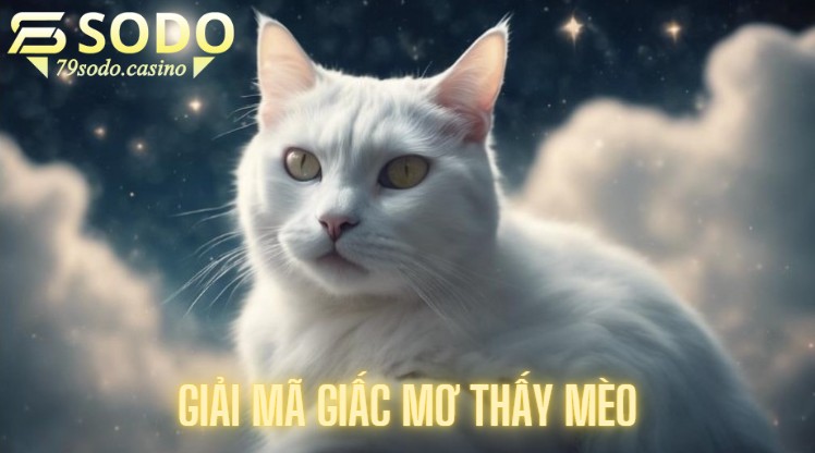 Giải mã giấc mơ thấy mèo và các con số liên quan