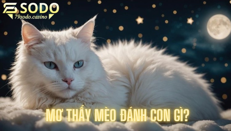 Mơ thấy mèo đánh con gì?